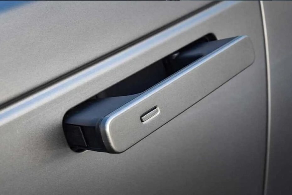 Tesla lo puso de moda y ahora amenaza a toda Europa, el peligro que nadie menciona