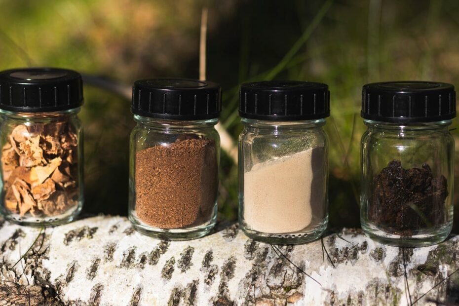 El secreto de los neumáticos de invierno del futuro está en la corteza de un árbol, y Nokian Tyres ya los prueba