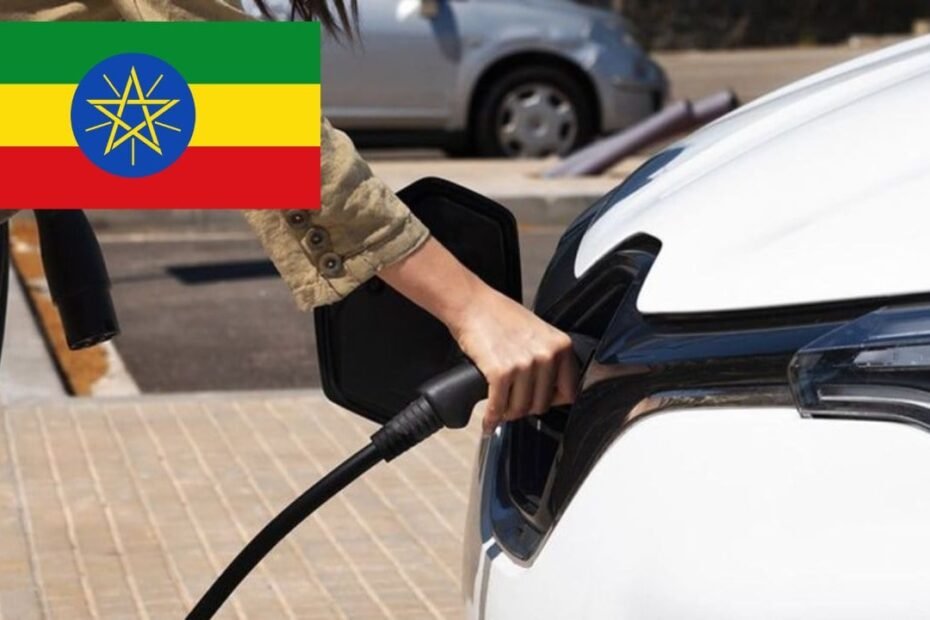 Este país cerró la puerta a los coches de combustión importados y las ventas de eléctricos hicieron algo inesperado